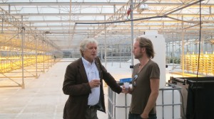 beleving van algen